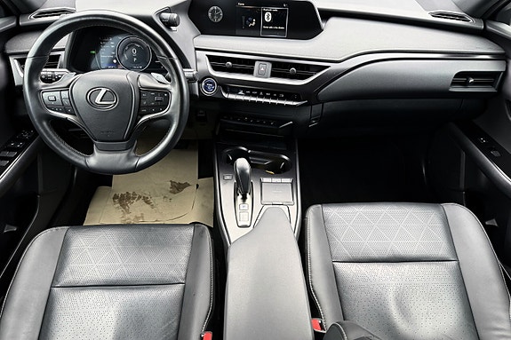 Lexus UX300e 9 of 19