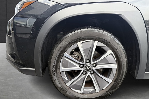 Lexus UX300e 18 of 19