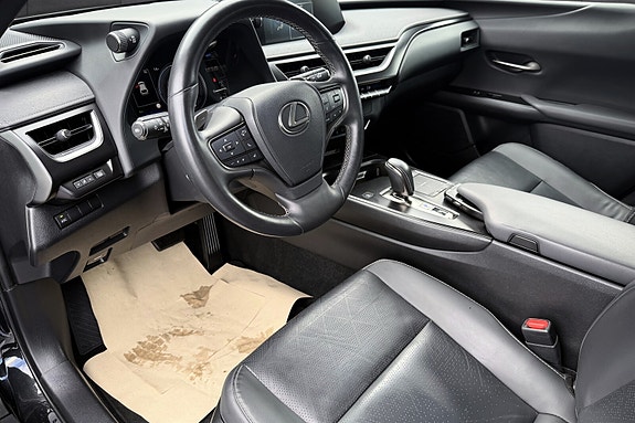Lexus UX300e 10 of 19