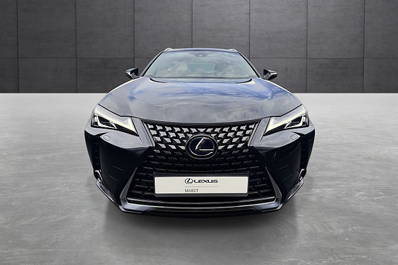Lexus UX300e 8 of 19