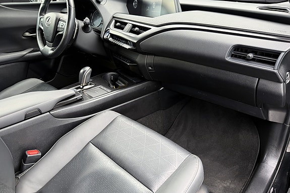 Lexus UX300e 15 of 19