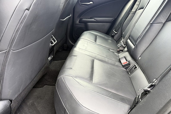 Lexus UX300e 16 of 19