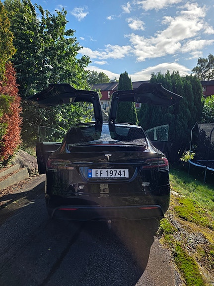 Tesla Model X 6 of 10