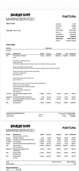 Godt vedlikeholdt Nidelv 690 17 of 18