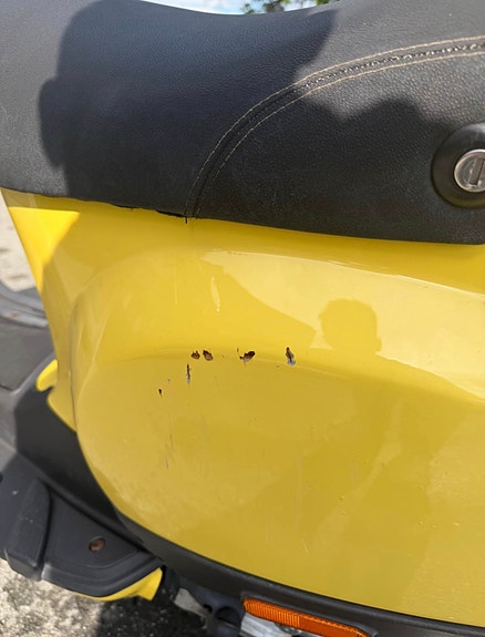 Vespa LX 50 5 of 7
