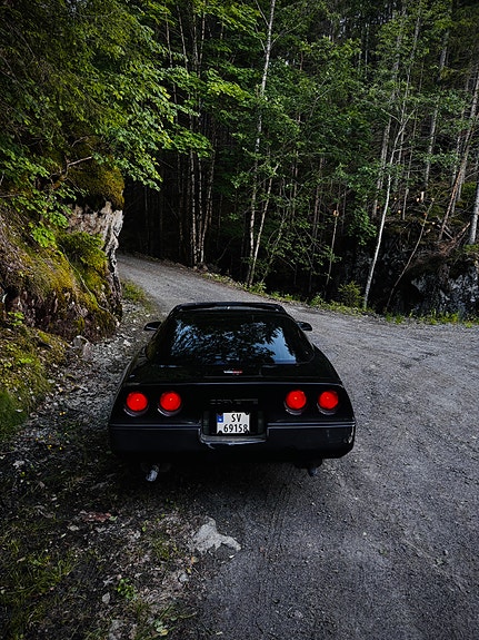 Chevrolet Corvette 4 of 20