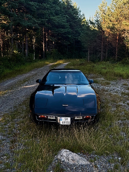 Chevrolet Corvette 13 of 20