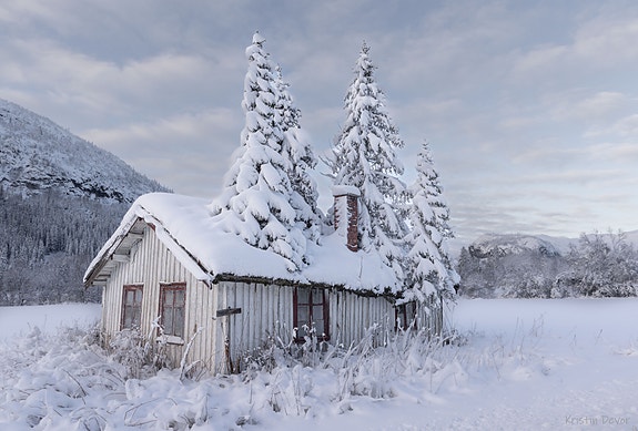 Huset med trær