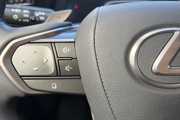 Lexus RZ450e 16 of 22