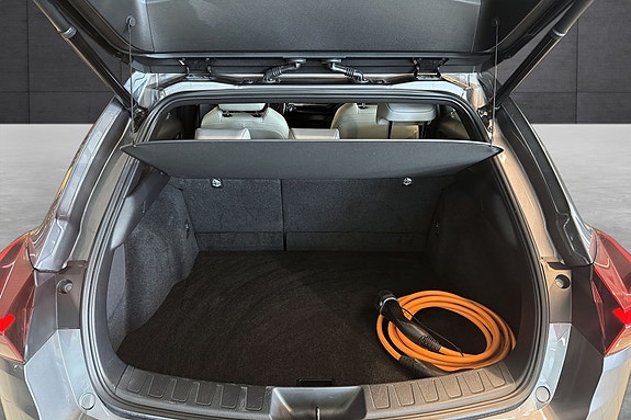 Lexus UX300e 19 of 21