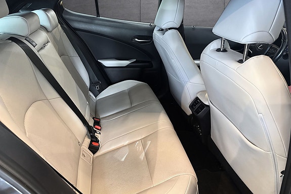 Lexus UX300e 17 of 21
