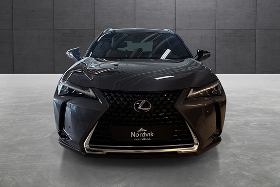 Lexus UX300e 8 of 21