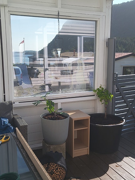 Plass 194 Country by Delta, Sandvik Camping Nedstrand 17 of 30