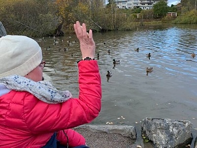 Bilde 1 av 1 i jobbannonse-galleriet