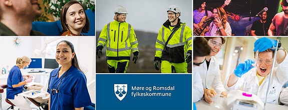 Bilde fra arbeidsgiver