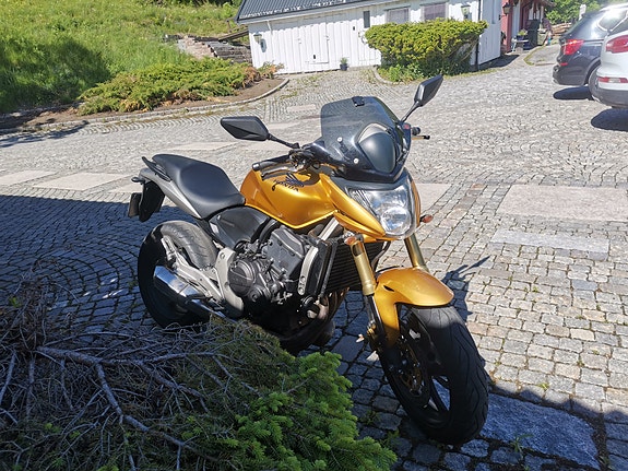 Honda CB 600 F Hornet 8 of 14