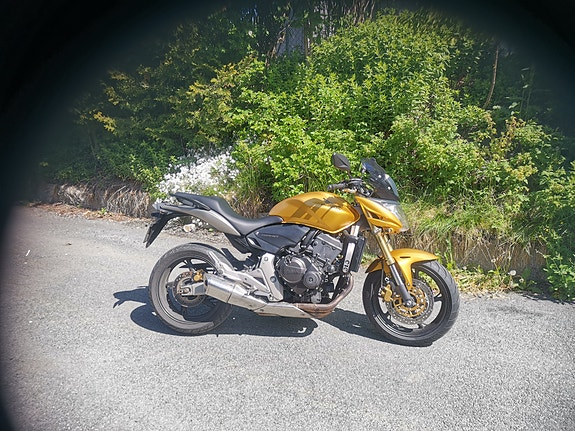 Honda CB 600 F Hornet 13 of 14