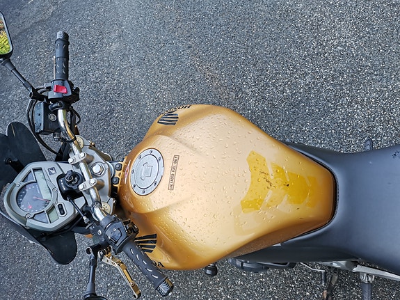 Honda CB 600 F Hornet 3 of 14