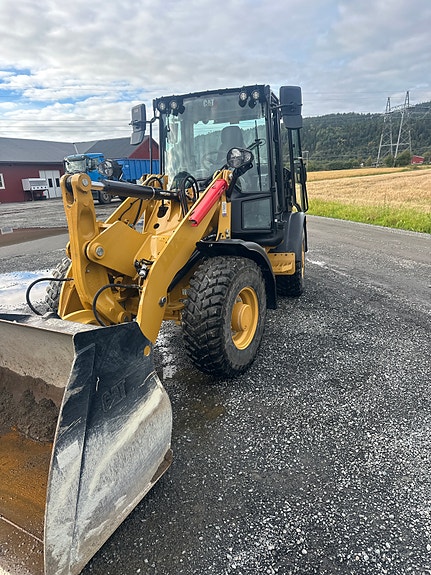 Cat 906 7 of 8