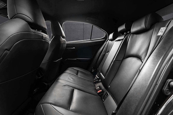 Lexus UX300e 13 of 30