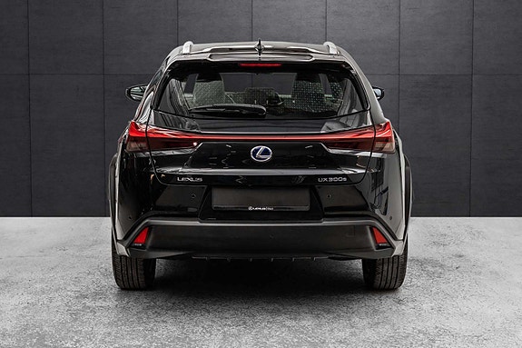 Lexus UX300e 6 of 30