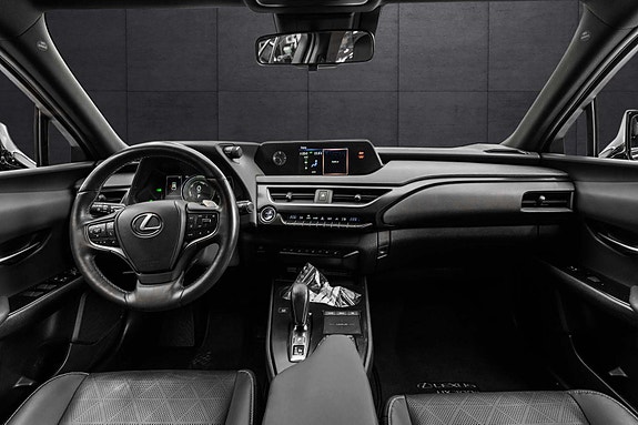 Lexus UX300e 14 of 30
