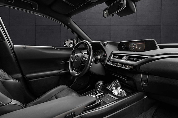 Lexus UX300e 20 of 30
