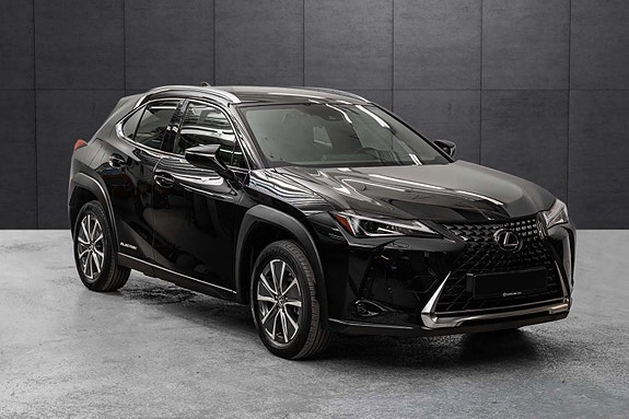 Lexus UX300e 4 of 30