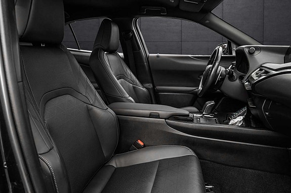 Lexus UX300e 18 of 30