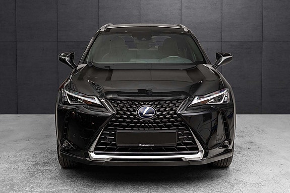 Lexus UX300e 2 of 30