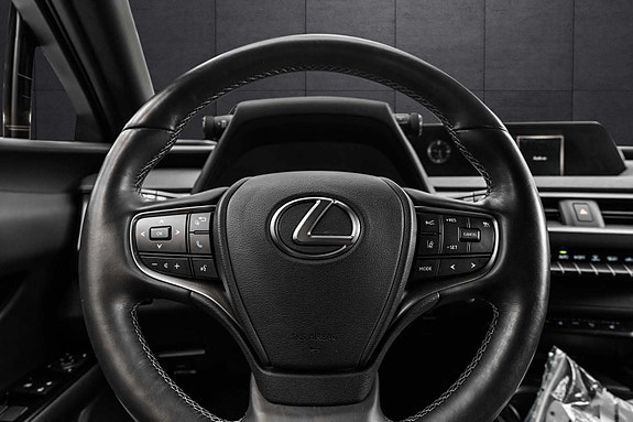 Lexus UX300e 21 of 30