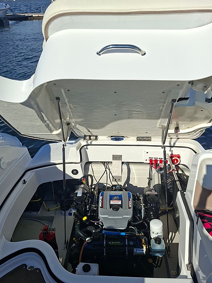 Cobalt 242. 8 of 30