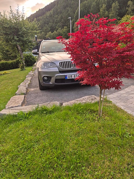 BMW X5 14 of 30