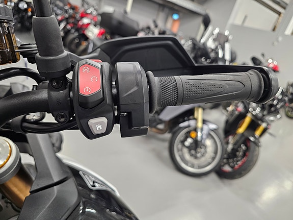 Triumph Tiger 900 Rally Pro 9 of 9