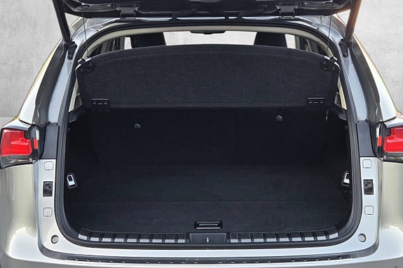 Lexus NX300h 21 of 30