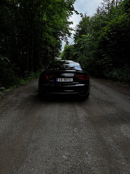 Audi RS5 8 of 30