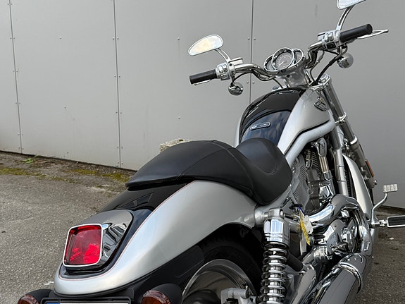 Harley-Davidson V-rod 2003 Anniversary edition | God stand | Nylig service 14 of 22