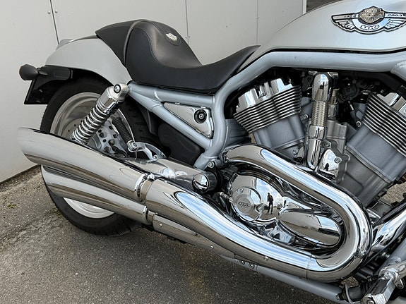 Harley-Davidson V-rod 2003 Anniversary edition | God stand | Nylig service 8 of 22