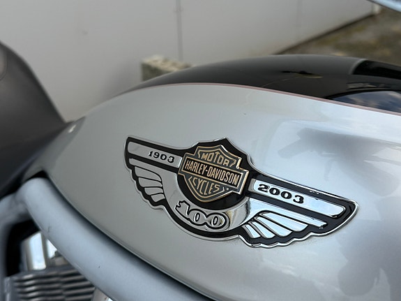 Harley-Davidson V-rod 2003 Anniversary edition | God stand | Nylig service 9 of 22