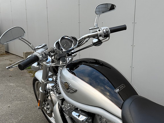 Harley-Davidson V-rod 2003 Anniversary edition | God stand | Nylig service 11 of 22