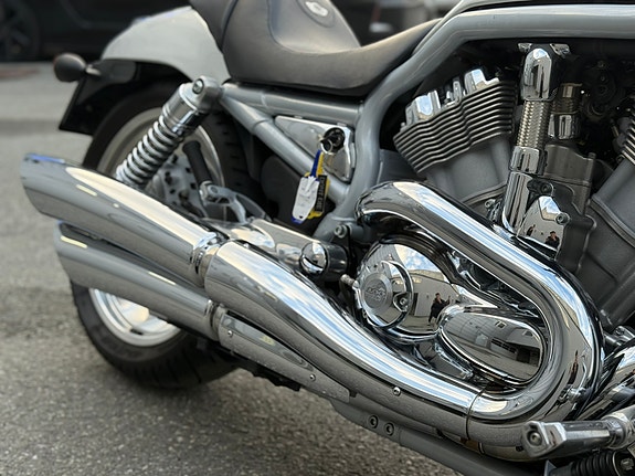 Harley-Davidson V-rod 2003 Anniversary edition | God stand | Nylig service 21 of 22