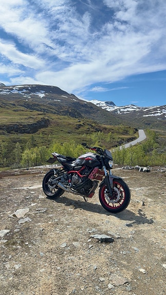 Yamaha MT-07 Moto Cage 6 of 10