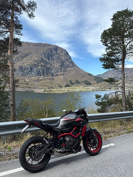Yamaha MT-07 Moto Cage 3 of 10