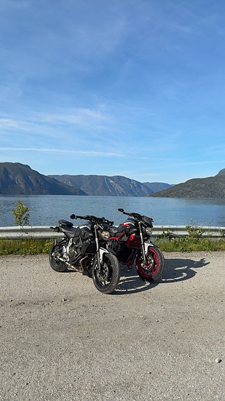 Yamaha MT-07 Moto Cage 5 of 10