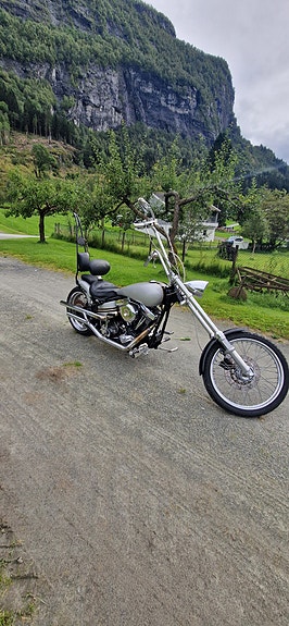 Harley-Davidson FXE 3 of 9