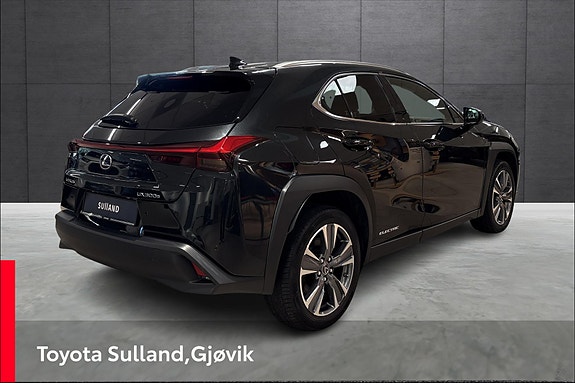 Lexus UX300e 5 of 20