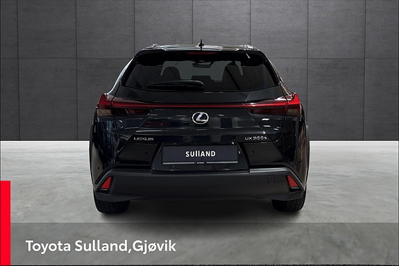 Lexus UX300e 4 of 20