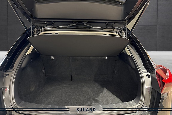 Lexus UX300e 18 of 20