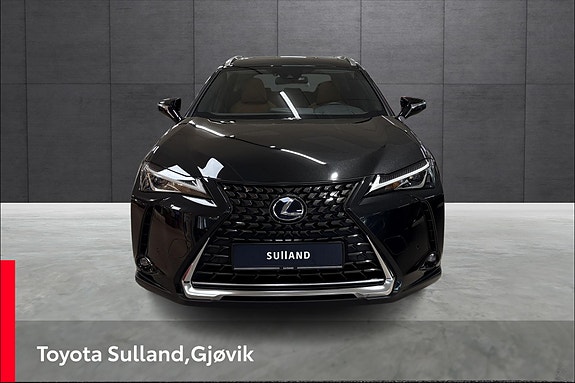 Lexus UX300e 8 of 20