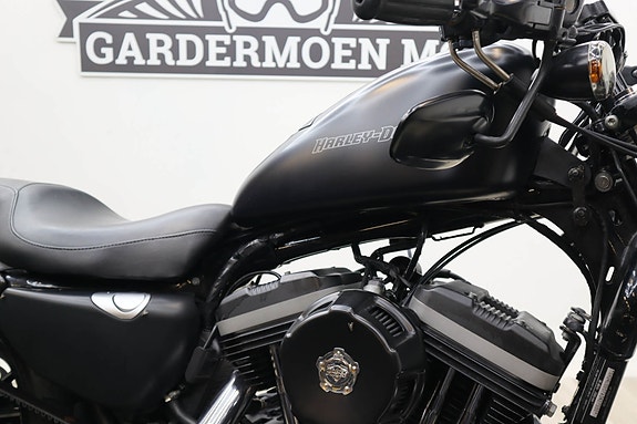 Harley-Davidson Iron 10 of 13